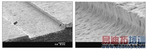 ΢ƬʾڲͬŴµϳƹ켣ֱ50 micron10 micronע˱