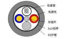 켼ݽ