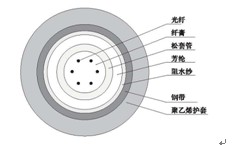 켼ݽ