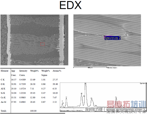 ACF(Conductive Anodic Filamentϸ˿Բά˿©)EDXAu()Ԫؽͨä֮ڶλá